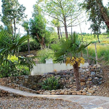 Oak Cottage Ferreira do Zezere Bagian luar foto